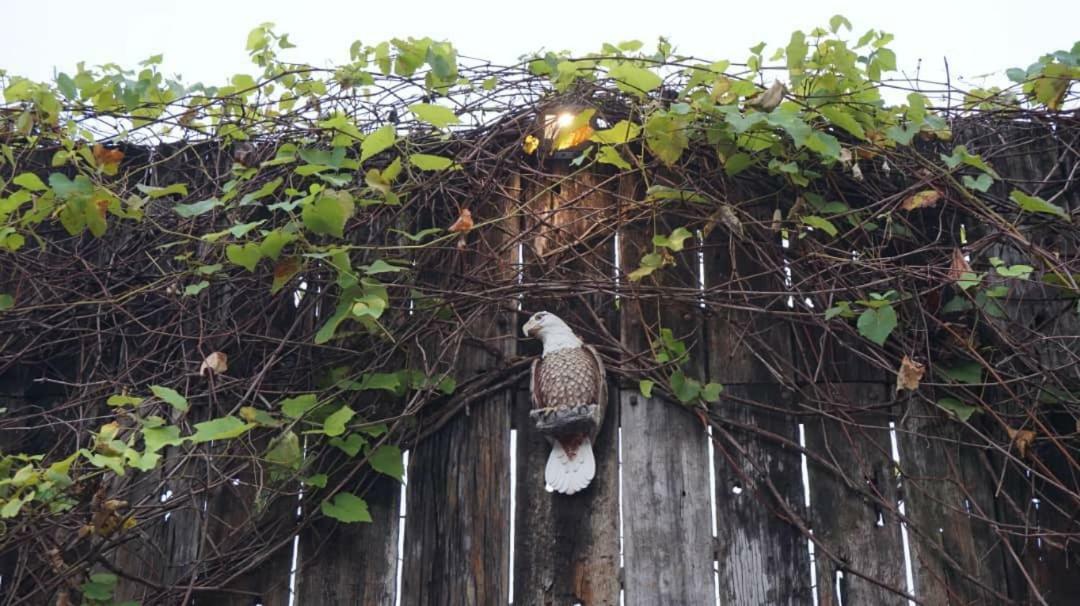 Kinta Bali Villa Ipoh Eksteriør billede